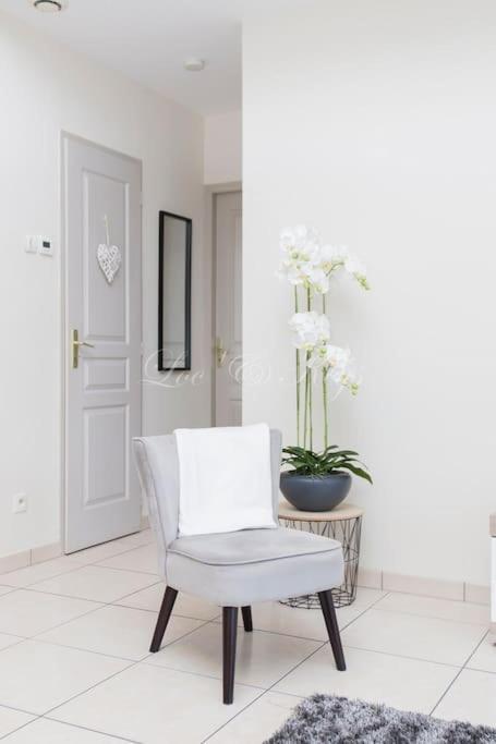 Ravissante Maison Cosy 4* Biscarrosse Proche Lac 外观 照片